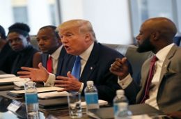 working-with-blacks-article