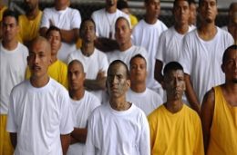 illegals-group